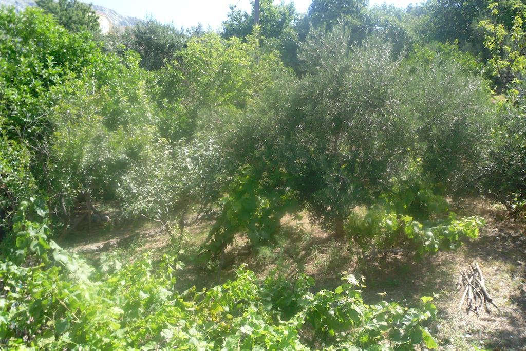 Hostel Guesthouse Mira Omiš Δωμάτιο φωτογραφία